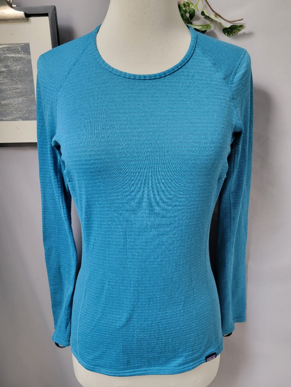 Patagonia Capilene Thermal Weight Stripe Crewneck Base Layer Blue XS